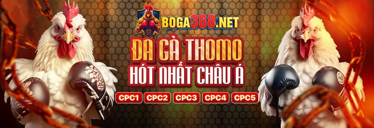 Đá gà trực tuyến kịch tính tại conga6789 nhà cái