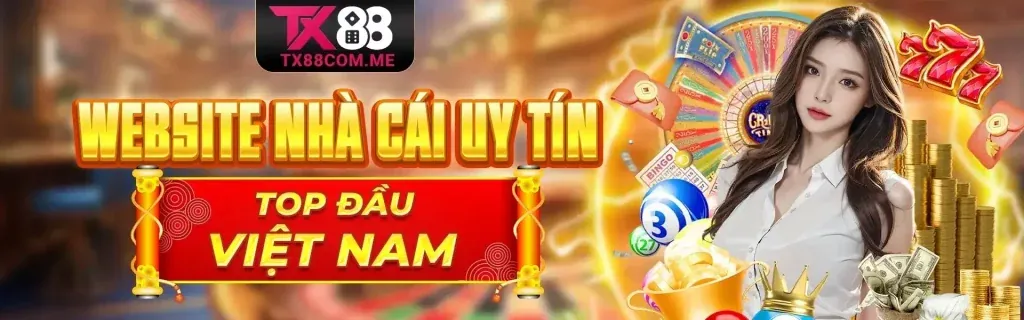 Sân vận động thể thao sôi động